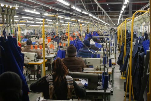 越南疫情擾動(dòng)下的供應(yīng)鏈挑戰(zhàn)與應(yīng)對(duì)